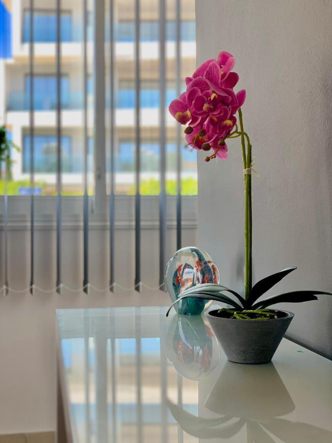 Diana Townhouse 1 Διαμέρισμα Πάφος Εξωτερικό φωτογραφία